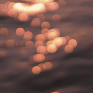 国产女合集小岁9六部3d最新章节内容
